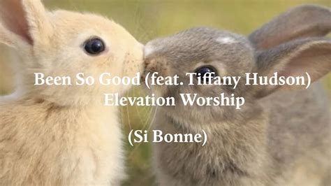 Been So Good (Si Bon) | Lyric Video in English and French | Elevation Worship - YouTube