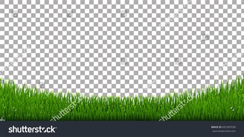 Grass Border Vector Illustration: เวกเตอร์สต็อก (ปลอดค่าลิขสิทธิ์) 695387038 | Shutterstock