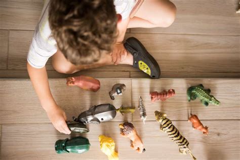 🥇 Image of Boy playing with toy animals - 【FREE PHOTO】 100011944