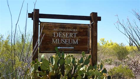 Desert Museum, Tucson, AZ