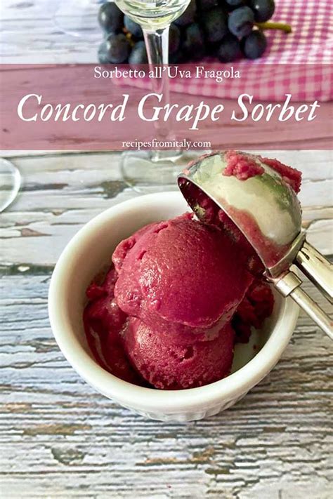 Concord Grape Sorbet Recipe | Sorbetto all'Uva Fragola - Recipes from Italy