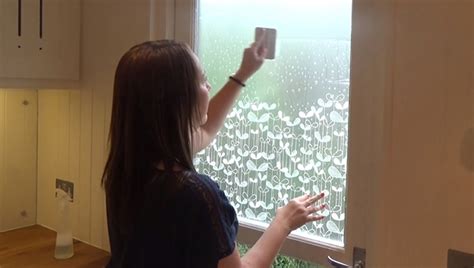 Frosted Window Film Installation Guide - Home Cleaning Blog