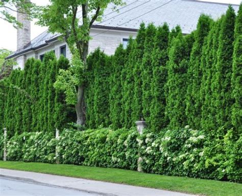 34 Privacy Fence Design Ideas To Get Inspired - DigsDigs