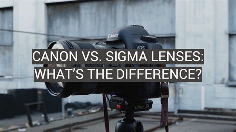 Canon vs. Sigma Lenses: What’s the Difference? - FotoProfy