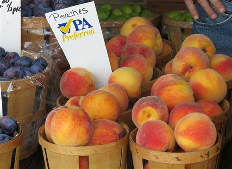 What's So Special About Chambersburg Peaches? - Greater Chambersburg Chamber of Commerce