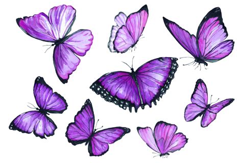 Purple Butterfly Meaning: What Do Purple Butterflies Symbolize? - Color ...