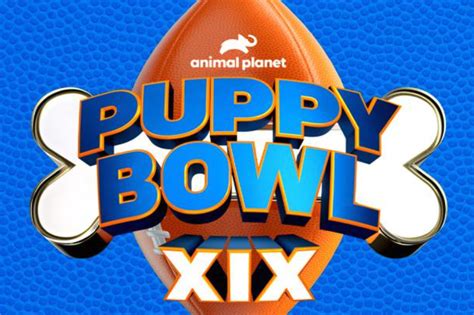 Puppy Bowl 2023: How to watch, start time, TV schedule, live blog, streaming and more - SBNation.com