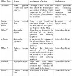 Internet Scientific Publications