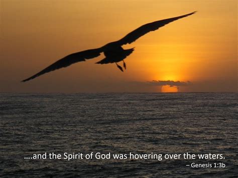 HOW IN THE WORLD!!: The Holy Spirit in Creation and new creation ...