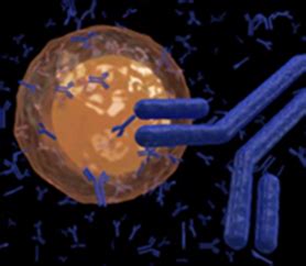 Basic and Large-Scale Cell Culture Services - Creative Bioarray