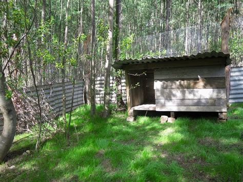 The new wildlife shelter is in place | Wild Ocean Tasmania