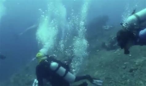 Shark attack news: Young student comes face to face with great white ...