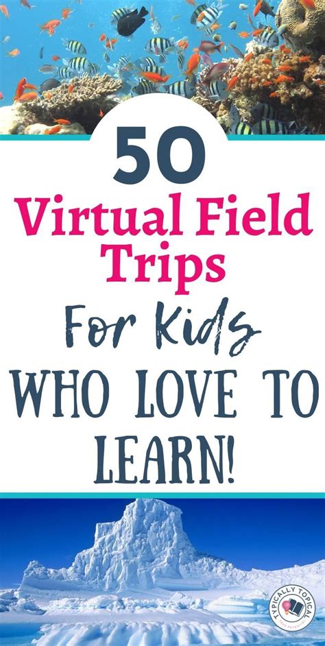 Virtual Field Trips For Kids: 100+ Amazing Free Trips! | Geography activities, Homeschool ...