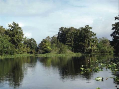 Fishing Central Florida Canals - Coastal Angler & The Angler Magazine