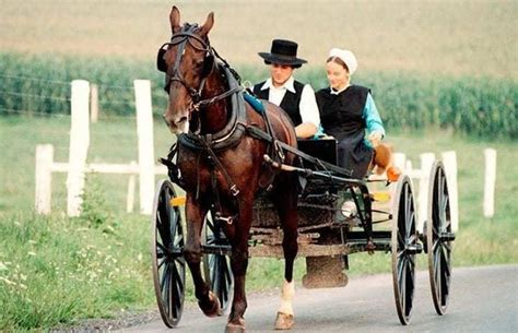 38 Beliefs And Ways Of Life The Amish Strictly Follow | Amish culture ...