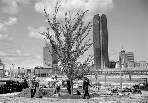 Oklahoma City bombing 'Survivor Tree' lives on - April 19, 2019 | The Spokesman-Review