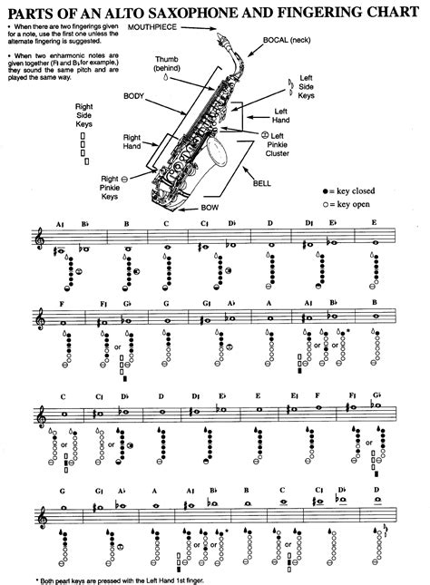 Alto Saxophone Notes And Finger Chart