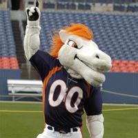 Broncos - National Football League Mascots