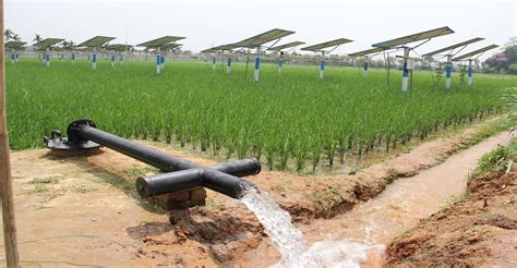 Water-Intensive Crops | Financial Tribune