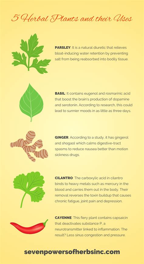 Learn more what these herbal plants and their uses by visiting Seven ...