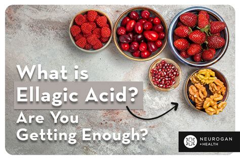 Ellagic Acid | Benefits, Food Sources, And How it Works