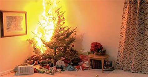 Ensure Your Christmas Tree Is Not A Fire Hazard