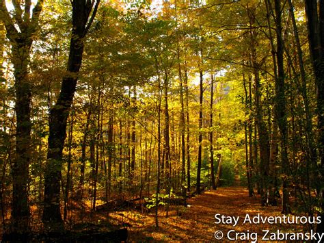 Fall Foliage – Manchester Center, Vermont | Stay Adventurous | Mindset for Travel Blog