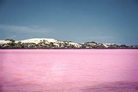 Lake Macdonnell Pink Lake - Travel Guide