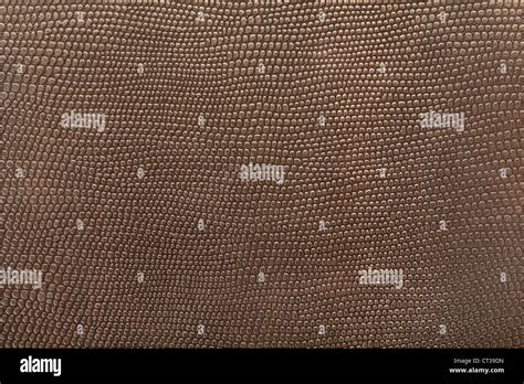 Shark skin texture background Stock Photo - Alamy