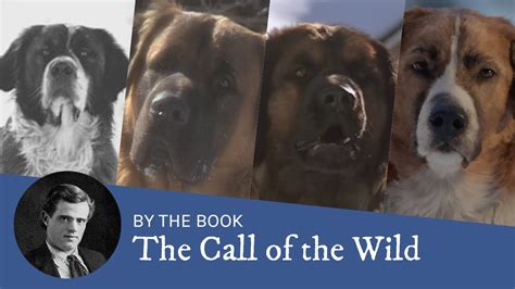 コンプリート！ the call of the wild buck dog breed 949373-The call of the wild ...