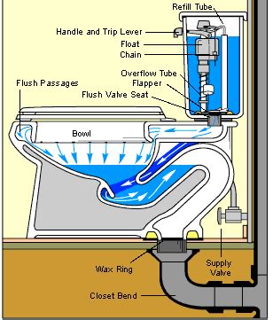 Basement Floods When I Flush Toilet – Misterwew | 2021