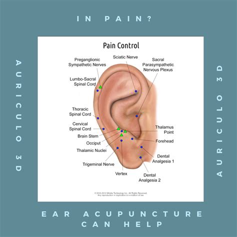 Acupuncture Ear Pressure Points