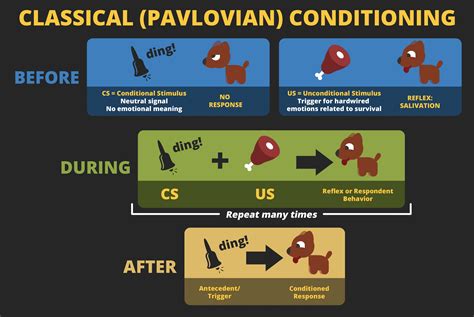 Classical (Pavlovian) Conditioning