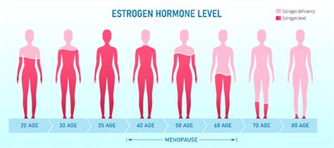 Female hormones from menarche to menopause, does anyone understand them? - The FemTech Revolution