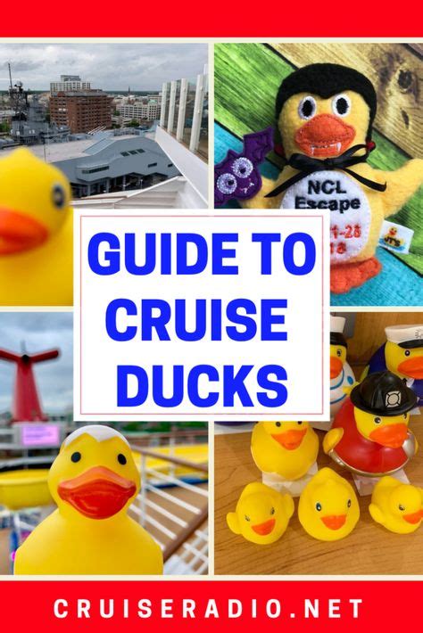 19 Best Ducks images in 2020 | Cruise, Duck, Carnival cruise