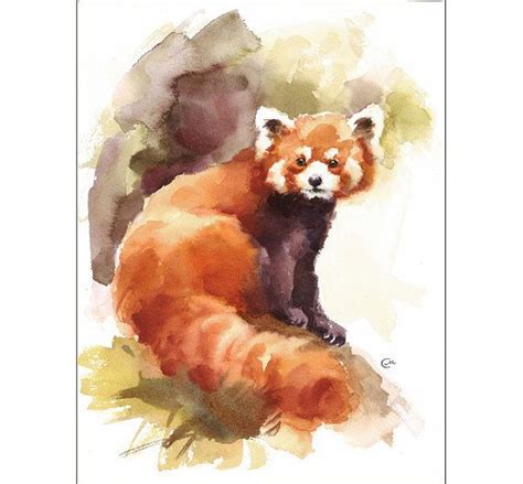 Red Panda Original Watercolor Painting 9x12 Inches Animals | Etsy | Panda painting, Panda art ...