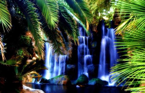 Tropical Waterfall Wallpapers - Top Free Tropical Waterfall Backgrounds - WallpaperAccess