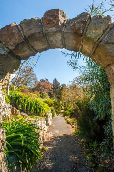 Ventnor Botanic Garden | Isle of Wight