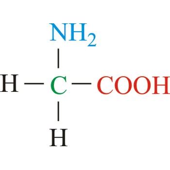 Glycine @ Chemistry Dictionary & Glossary