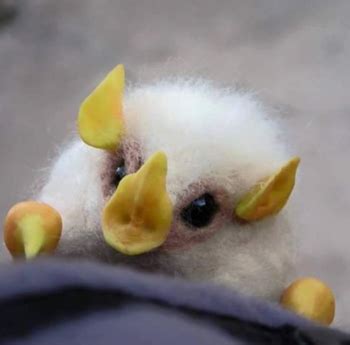 Cotton Ball Bats Exists And They Are Adorable