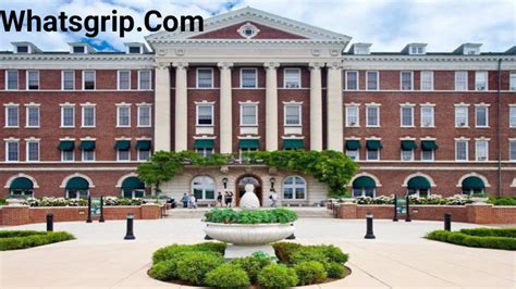 Top Universities in the United States – Whats Grip ️