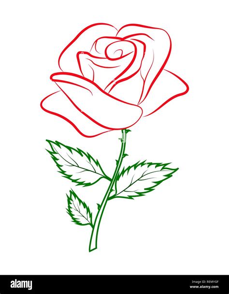 Rose Drawing Outline