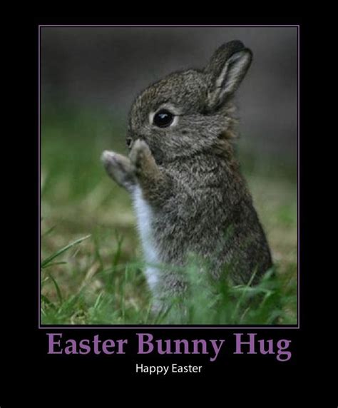 Easter Bunny Hug Pictures, Photos, and Images for Facebook, Tumblr ...