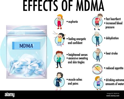 Effects of MDMA (ecstasy) infographic illustration Stock Vector Image & Art - Alamy