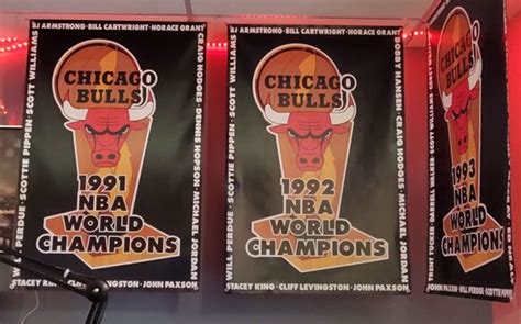 Chicago Bulls Banners by DSG Ultimate Signs and Designs in Winter Garden, FL - Alignable