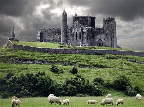 HD wallpaper: castles, medieval, nature, sheep | Wallpaper Flare