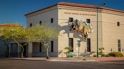 Arizona Museum of Natural History Tours - Book Now | Expedia