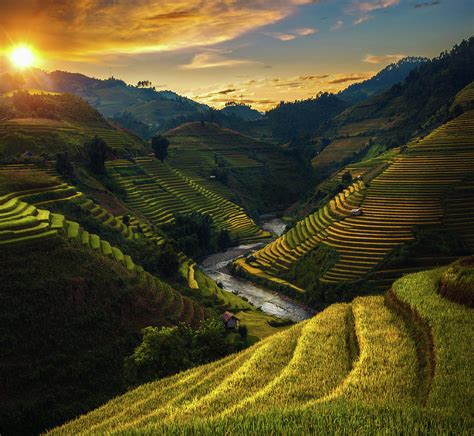 Rice field and rice terrace in Mu cang chai #1 Photograph by Anek Suwannaphoom - Fine Art America