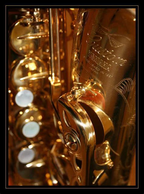 Saxophone Brands: Finding Your Perfect Horn