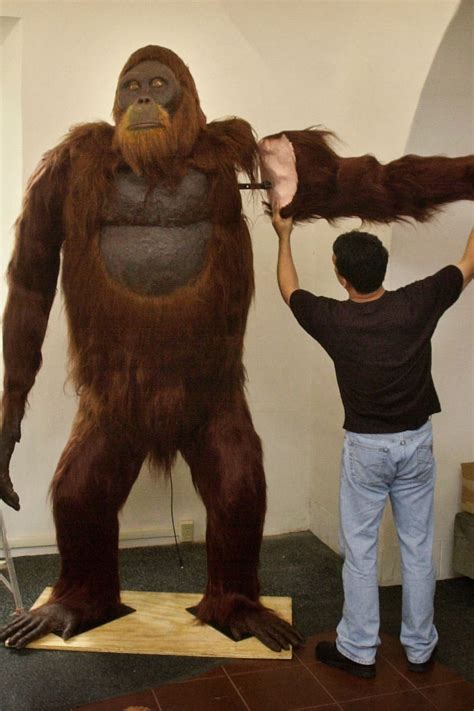 Gorilla Vs Human Size